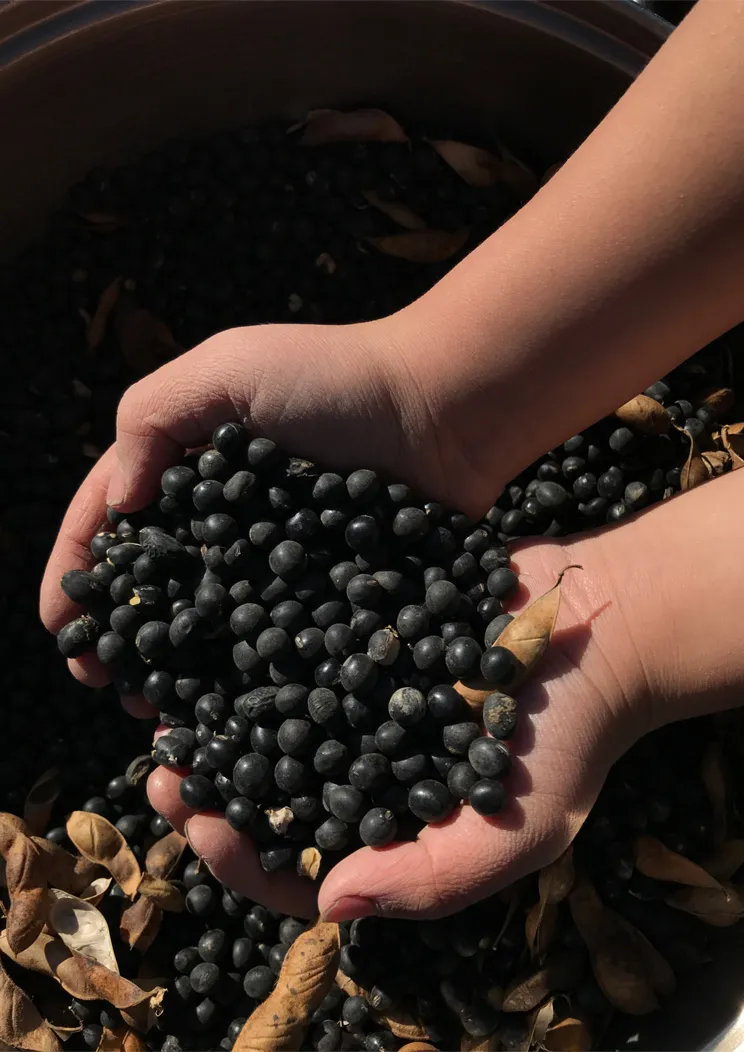 meal-slide-content__img