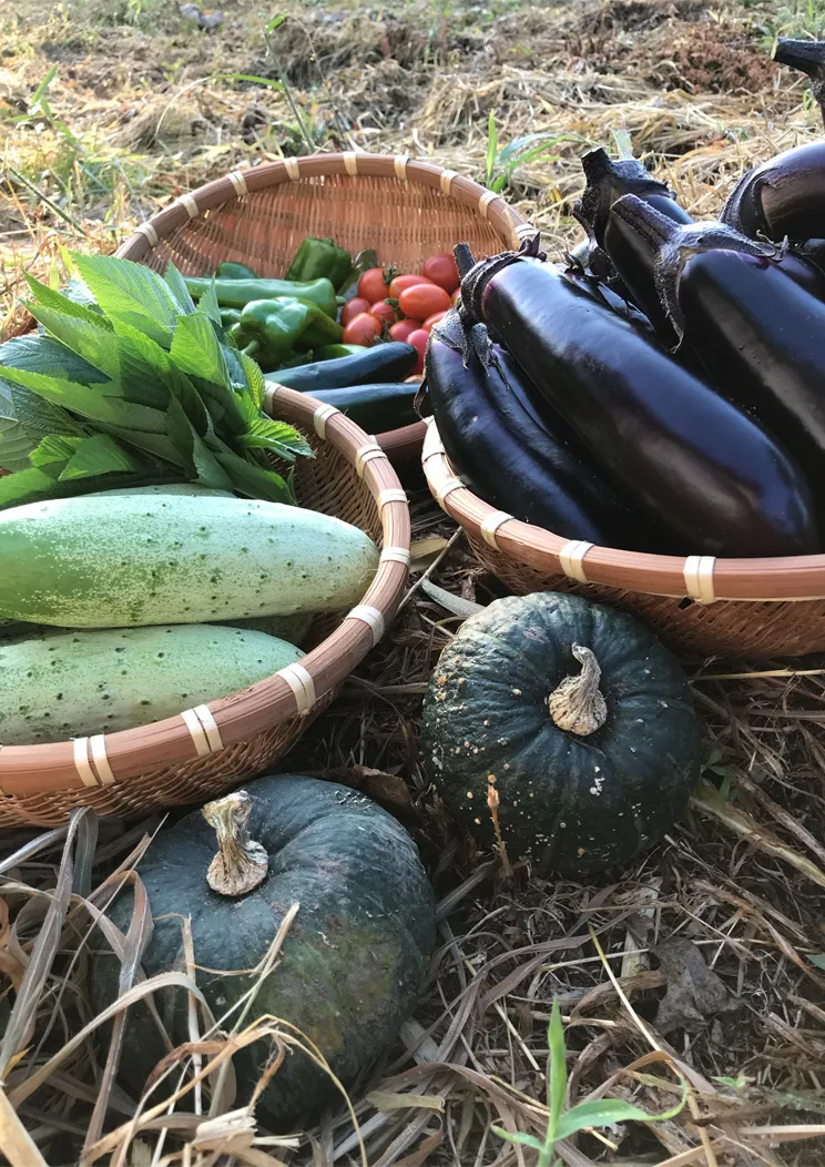 meal-slide-content__img