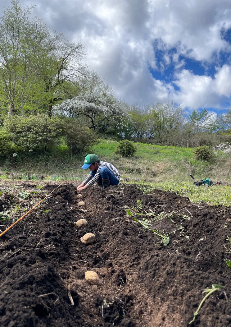 meal-slide-content__img